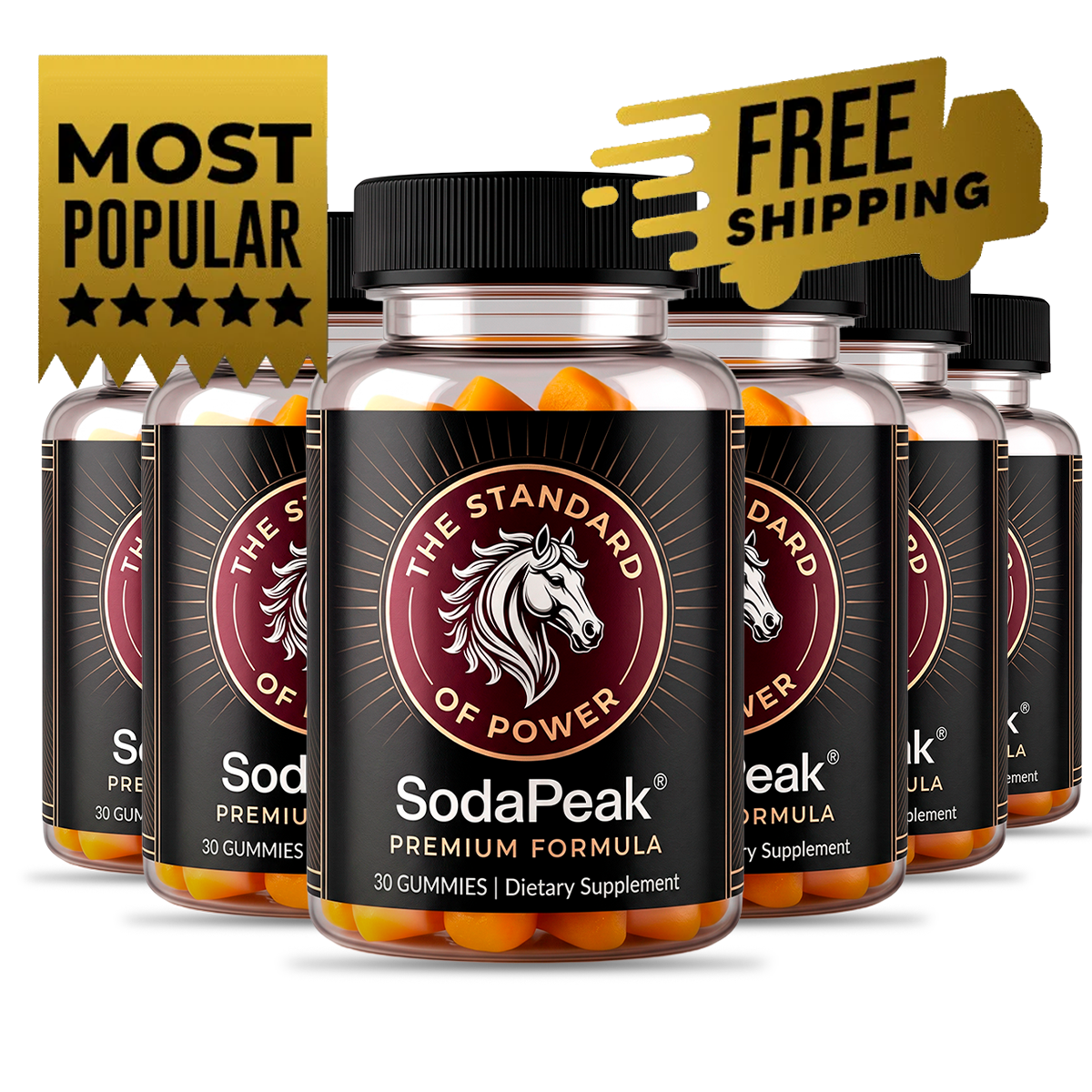 SodaPeak 6-Bottle Package (180 Day Supply)